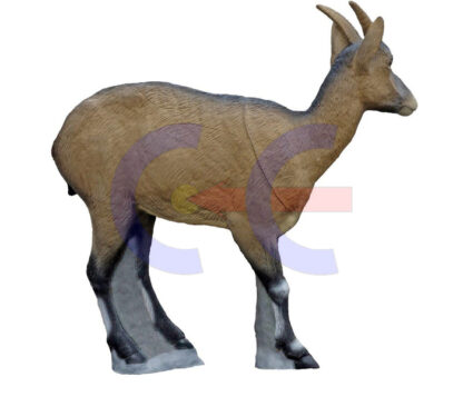 SRT Target 3D Iberian Ibex Female - Bilde 2