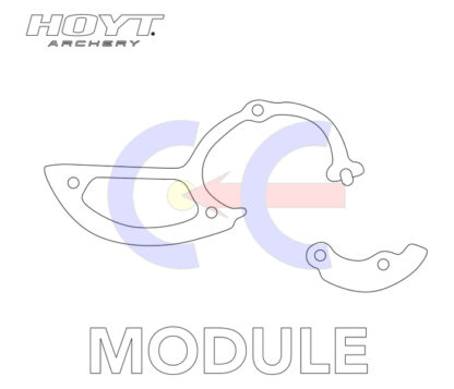 Hoyt Modules DCX