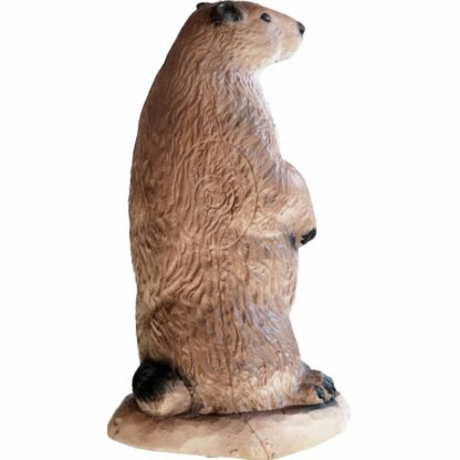 Eleven Target 3D Whistler - Bilde 3
