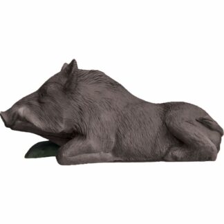 Eleven 3D Target Bedded Boar (Hole in)